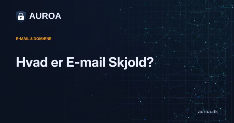 Hvad er E-mail Skjold?