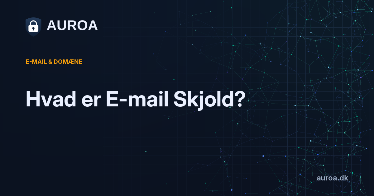 Hvad er E-mail Skjold?