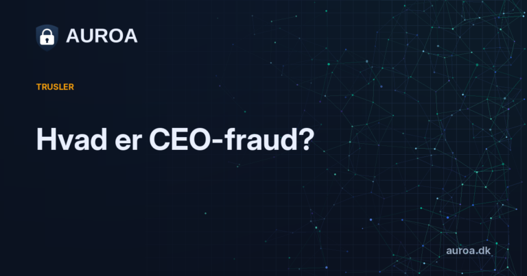 Hvad er CEO-fraud?