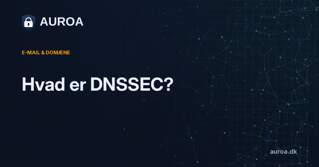 Hvad er DNSSEC?