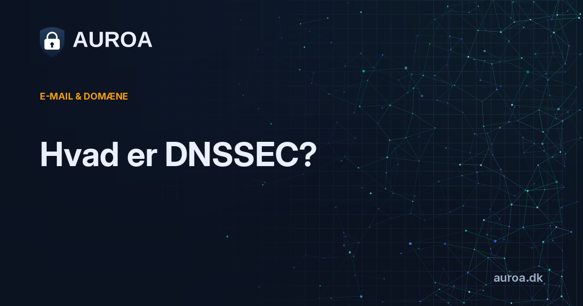 Hvad er DNSSEC?