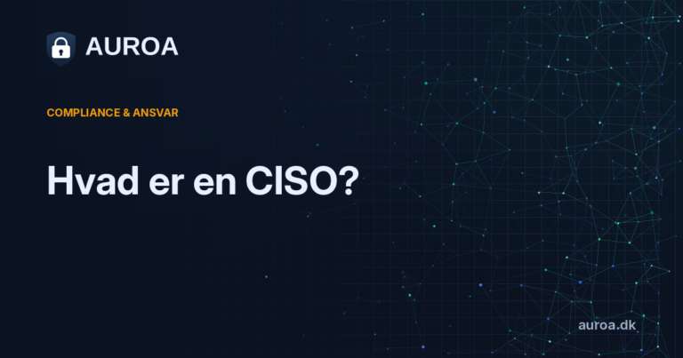 Hvad er en CISO?