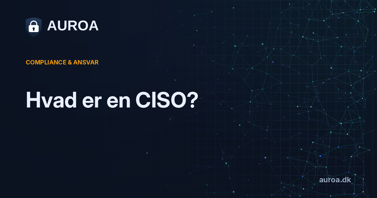 Hvad er en CISO?