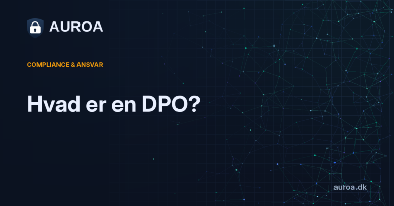 Hvad er en DPO?