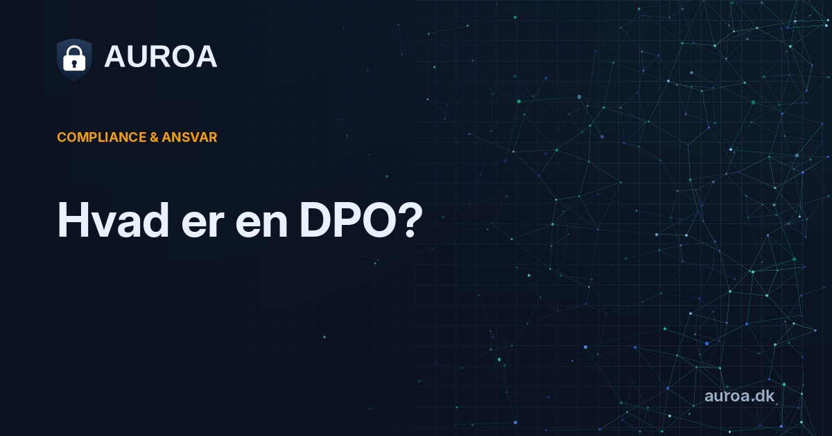 Hvad er en DPO?