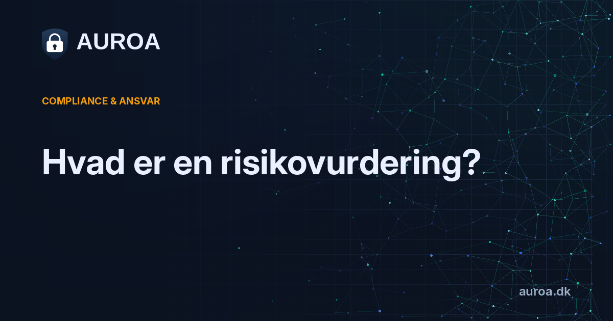 Hvad er en risikovurdering?