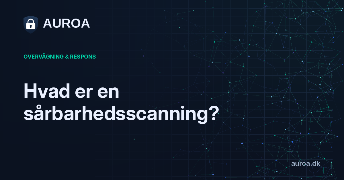 Hvad er en sårbarhedsscanning?