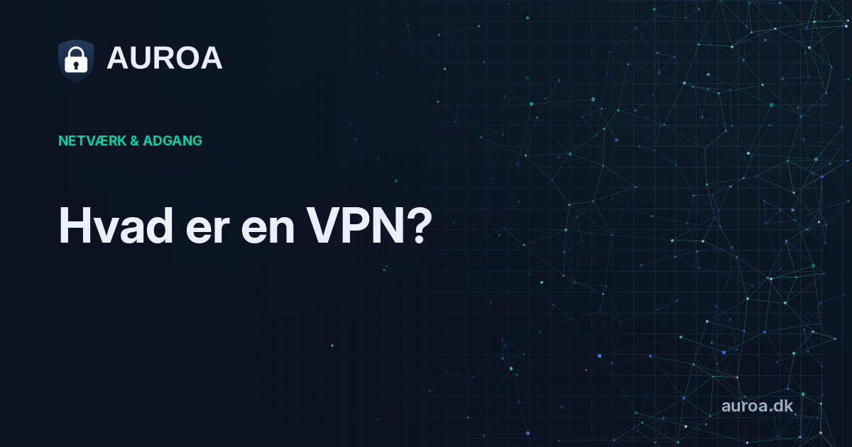 Hvad er en VPN?