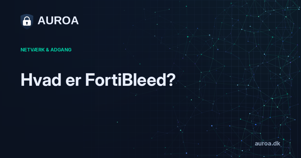 Hvad er FortiBleed?