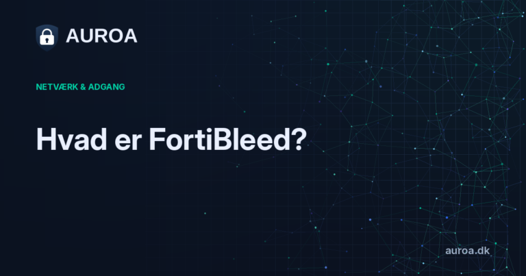 Hvad er FortiBleed?