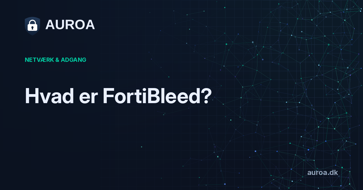 Hvad er FortiBleed?