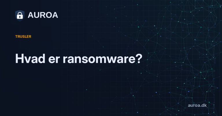 Hvad er ransomware?