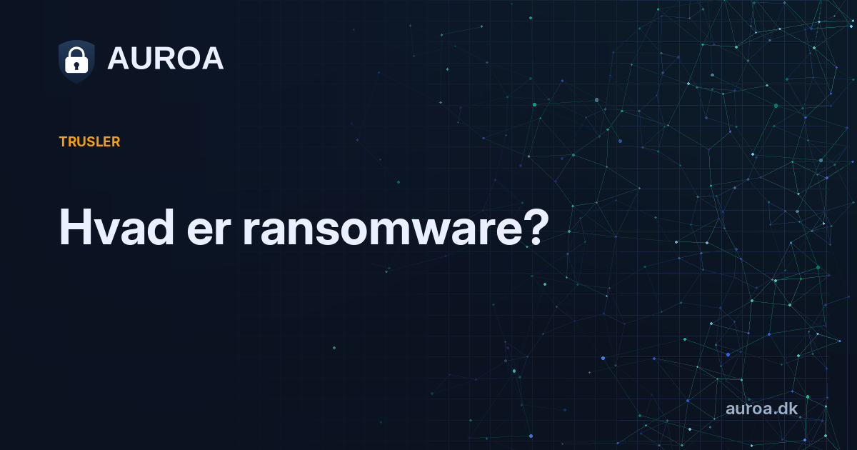 Hvad er ransomware?