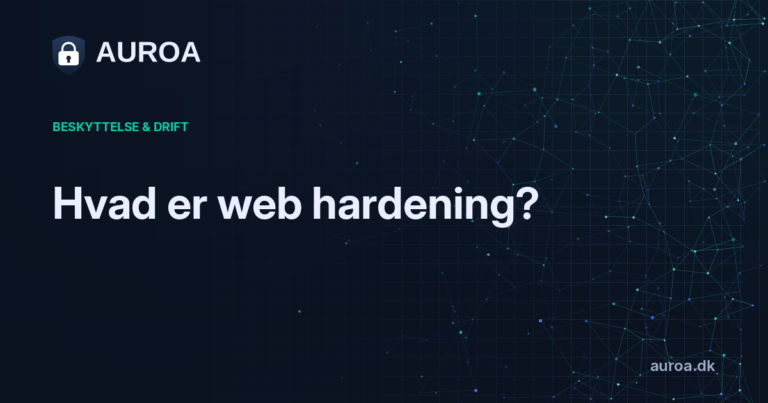 Hvad er web hardening?