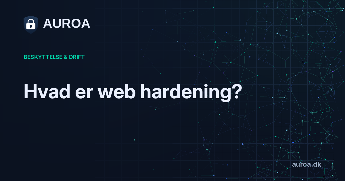 Hvad er web hardening?