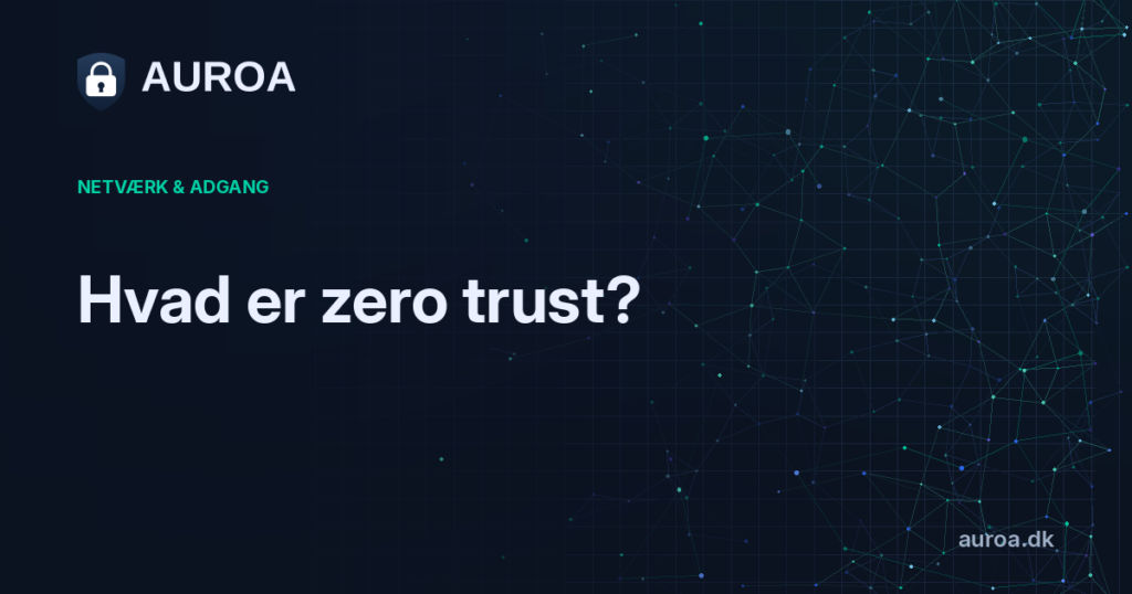 Hvad er zero trust?