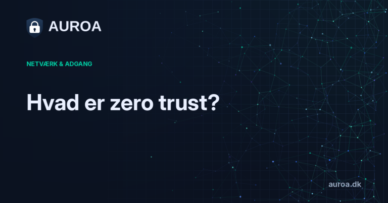Hvad er zero trust?