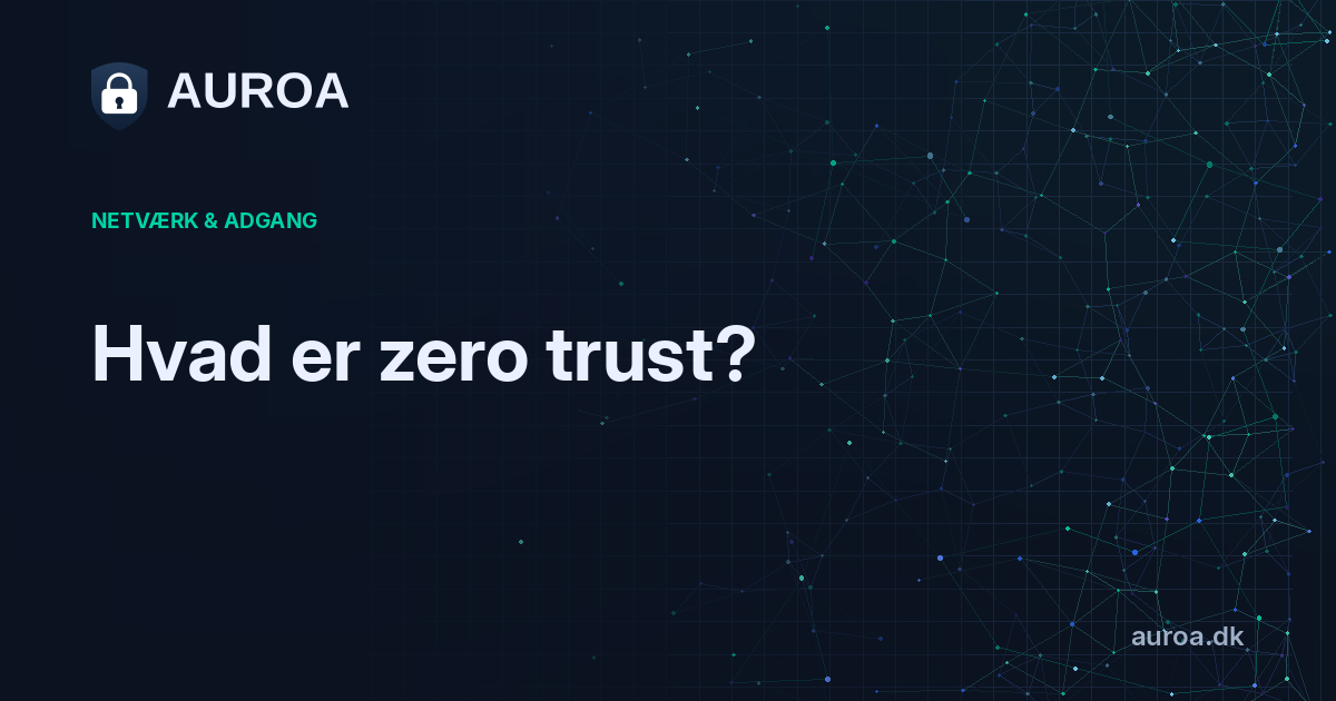 Hvad er zero trust?